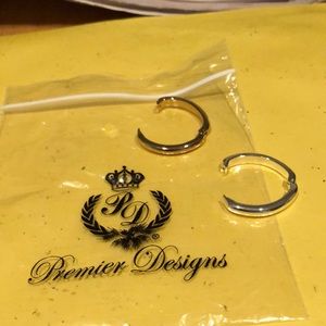 Premier scarf clasps